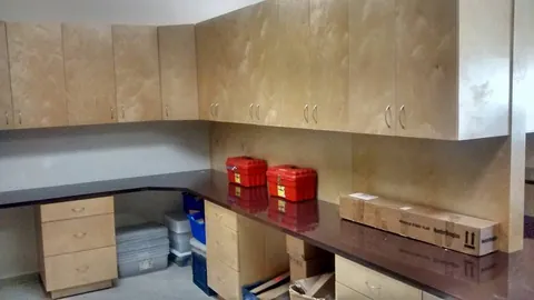 Laboratorio con alacenas de birch y cajoneras bajo la cubierta