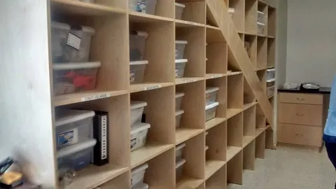 Repisas de casilleros en birch para laboratorio